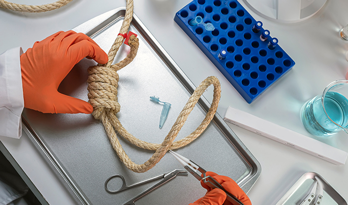 Jiangsu Haifeng Rope Technology Co., Ltd.